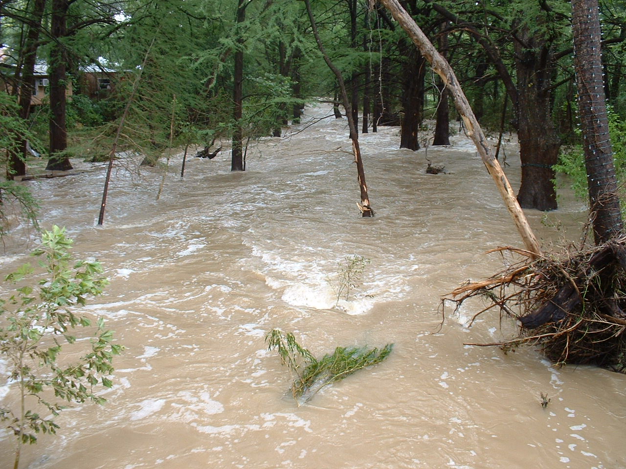 The Flood